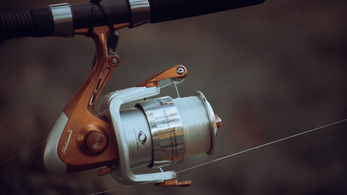 JDM Daiwa and Shimano Reels from Japanese Auctions: Guide
